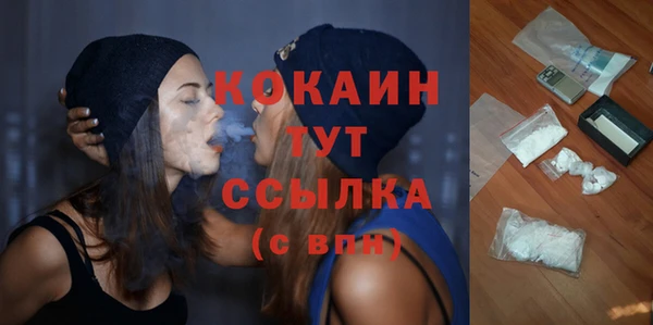 спиды Вяземский