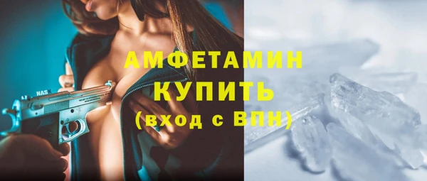 спиды Вяземский