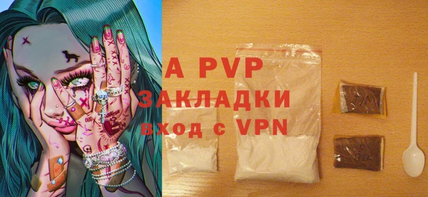 спиды Вяземский
