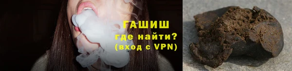 сатива Беслан