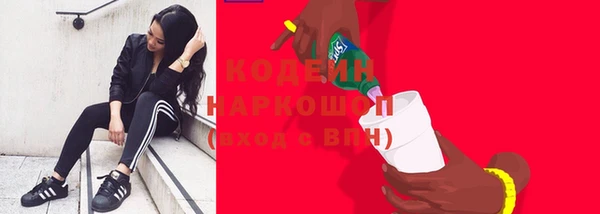 спиды Вяземский