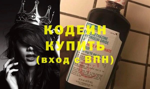 спиды Вяземский