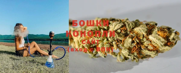 спиды Вяземский