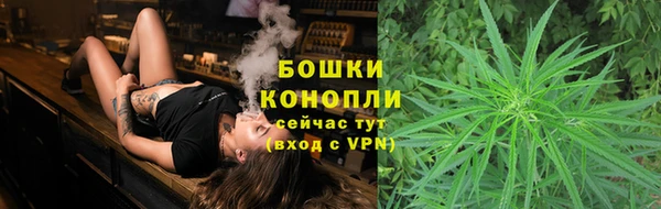ГАЛЛЮЦИНОГЕННЫЕ ГРИБЫ Вязники