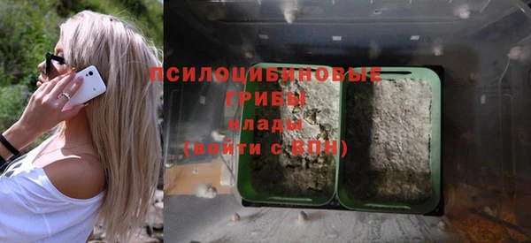 ГАЛЛЮЦИНОГЕННЫЕ ГРИБЫ Вязники