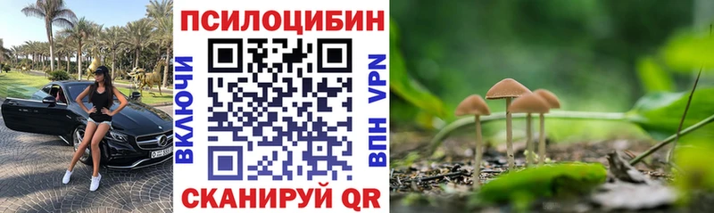 Галлюциногенные грибы ЛСД  Донской 