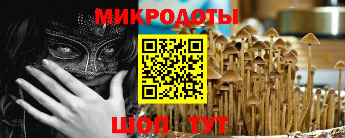 Донской  Галлюциногенные грибы Magic Shrooms  Вход с VPN 